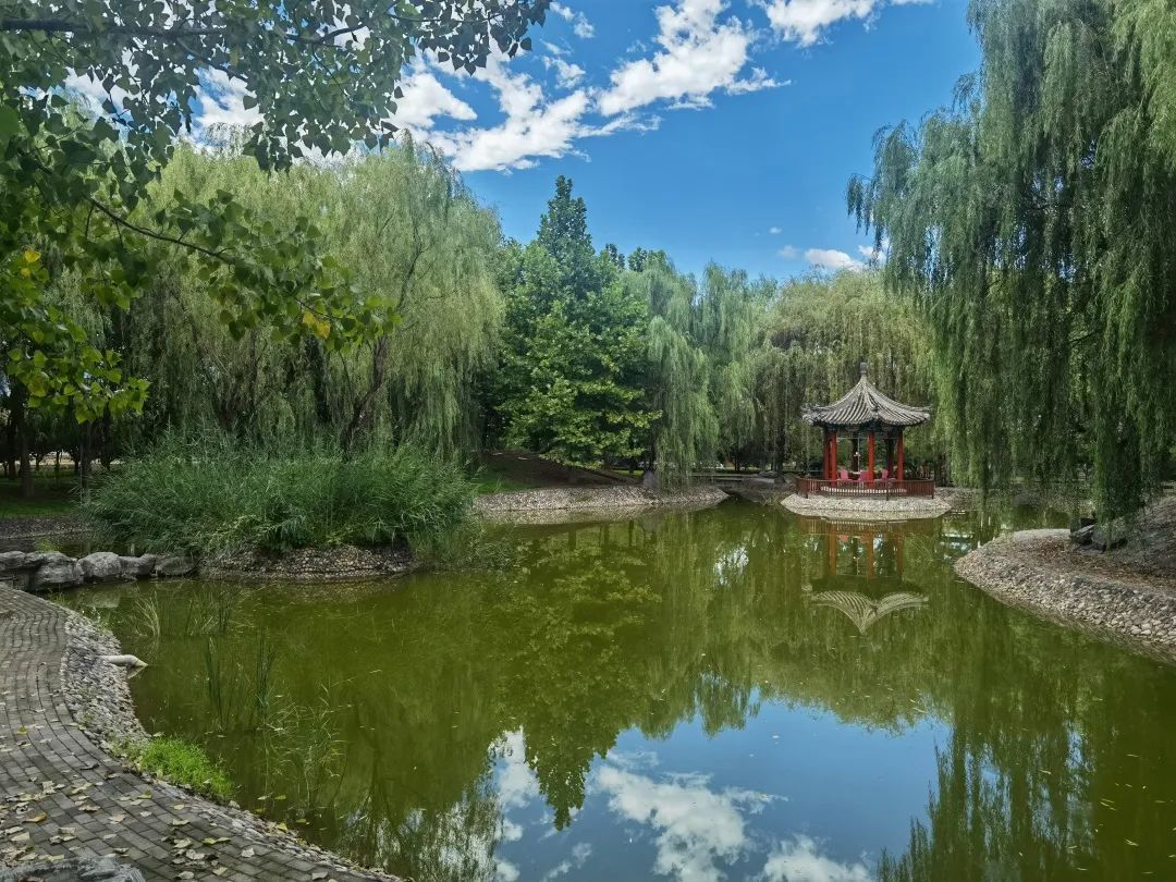 1667879166577932.jpg 1667879166577932.jpg