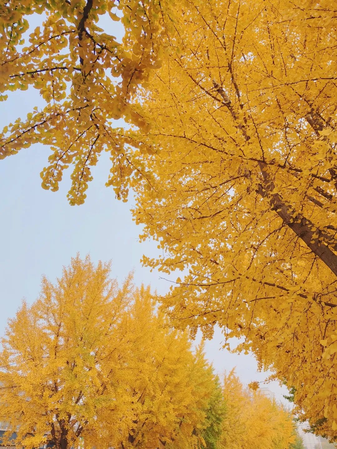 1671750280656191.jpg 1671750280656191.jpg