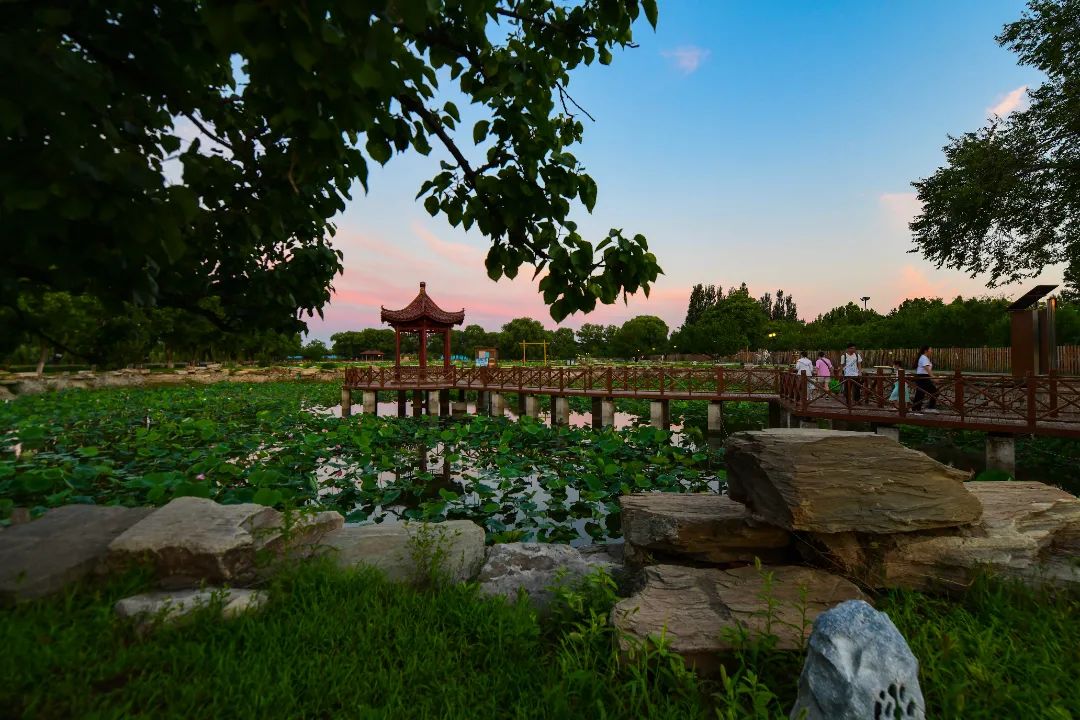 1672006469836773.jpg 1672006469836773.jpg