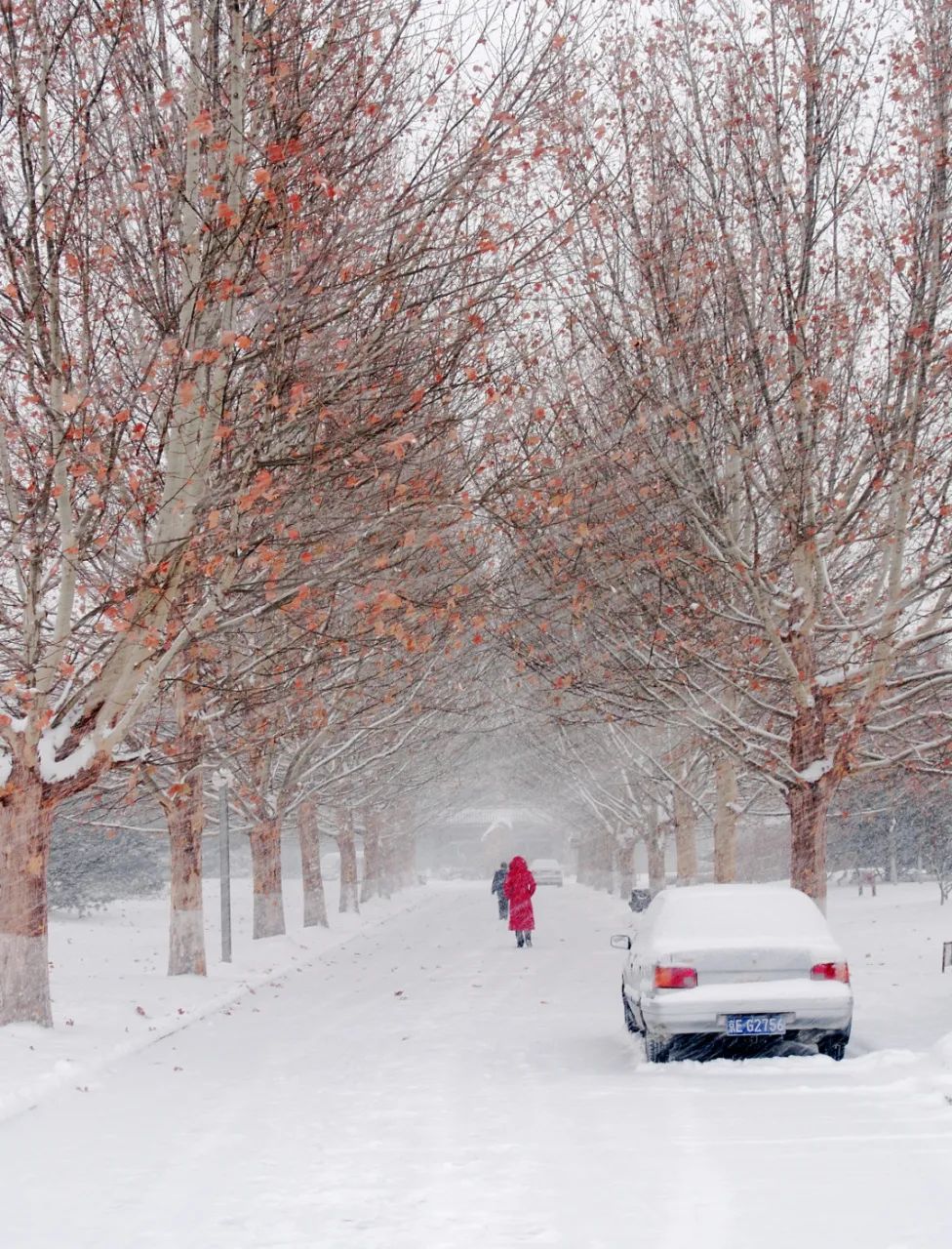 1672006920142004.jpg 1672006920142004.jpg