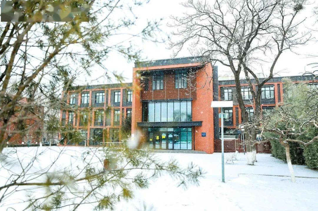 1675152158511421.jpg 1675152158511421.jpg