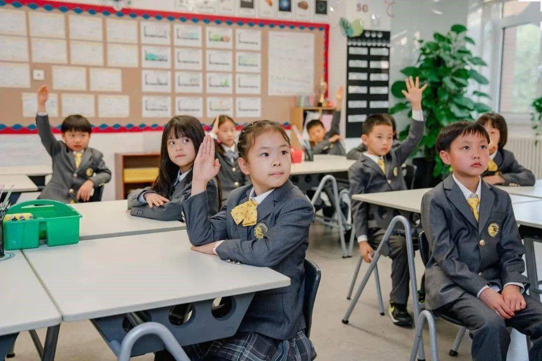 1675152330389014.jpg 1675152330389014.jpg