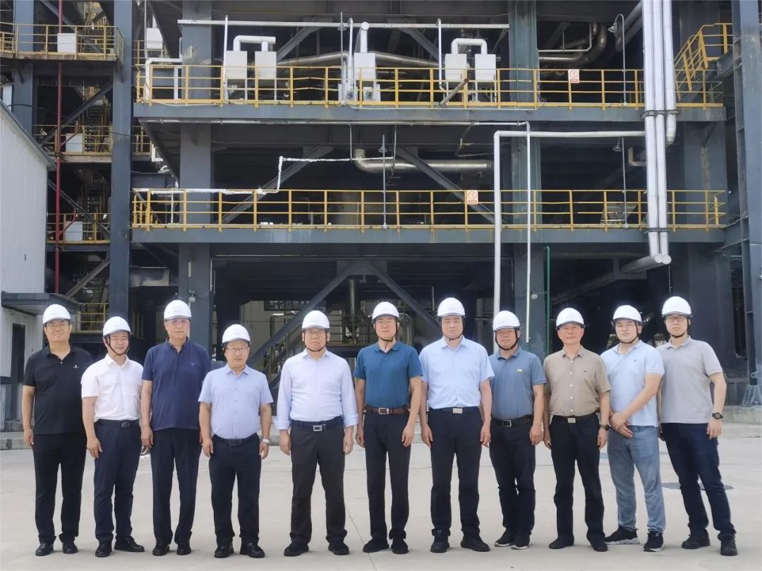 1689669097626095.jpg 1689669097626095.jpg